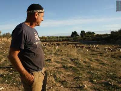 Donato � un agricoltore che da cinque anni ha voluto provare ad allargare la propria attivit�, comprando appunto un gregge